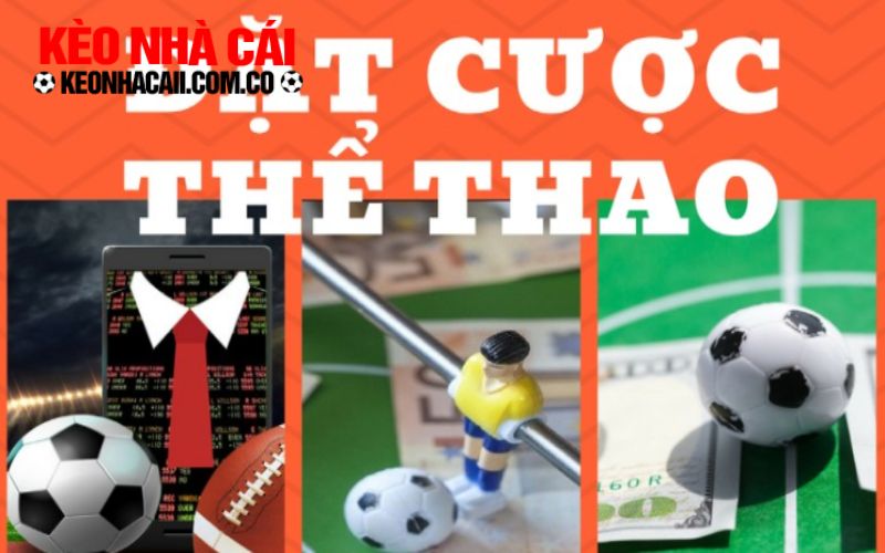 kubet 2 Các dịch vụ cá cược tại nhà cái ku3933